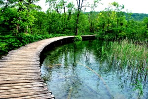 ROLLING VIBES PLITVICE