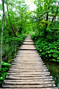 ROLLING VIBES PLITVICE