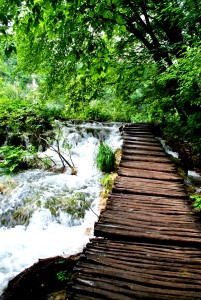 ROLLING VIBES PLITVICE