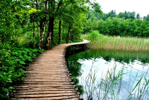 ROLLING VIBES PLITVICE