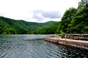 ROLLING VIBES PLITVICE