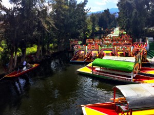 XOCHIMILCO ROLLING VIBES