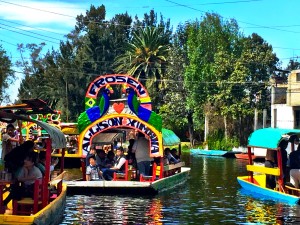 XOCHIMILCO ROLLING VIBES