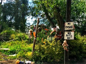 XOCHIMILCO ROLLING VIBES