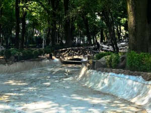 ROLLING VIBES PARQUE MEXICO