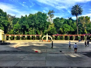 ROLLING VIBES PARQUE MEXICO