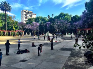 ROLLING VIBES PARQUE MEXICO